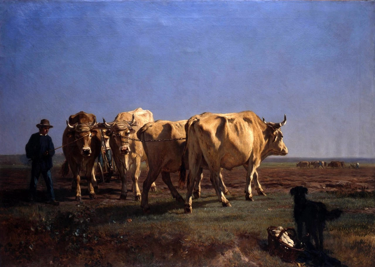 Buoi al lavoro - Musée des Beaux, Arts de Bordeaux